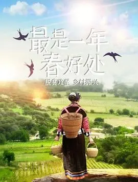 《最是一年春好处》：青春絮语，成长印记，当爱与错过在朱雀堂悄然绽放